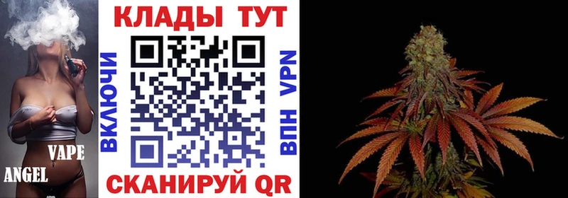 Где можно купить наркотики Шарья Кетамин  Метадон  МАРИХУАНА  Псилоцибиновые грибы  ГАШ  Alpha PVP  COCAIN 