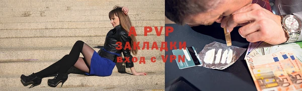прущие грибы Абдулино