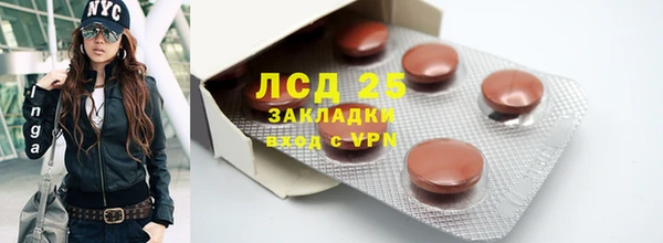 прущие грибы Абдулино