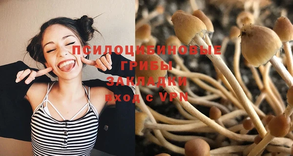 прущие грибы Абдулино