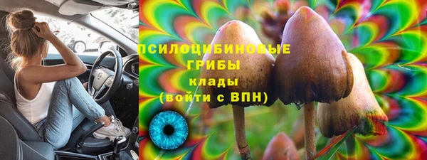 прущие грибы Абдулино